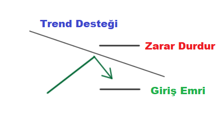 SIÇRAMA (Bounce): açıklamalı ders grafiği, örnek 3.