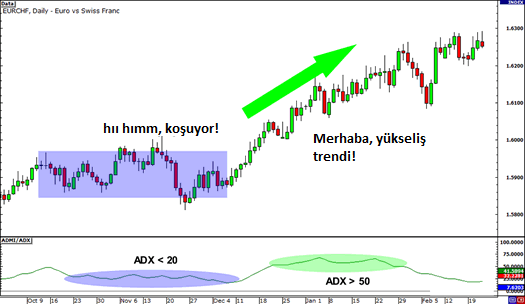 ADX (Ortalama Yön Endeksi) İndikatörü Nasıl Kullanılır?: açıklamalı ders grafiği, örnek 2.