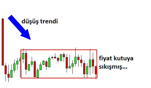 Ayı Dikdörtgeni: açıklamalı ders grafiği, örnek 2.
